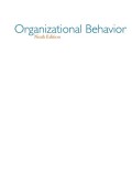 Organizational Behavior