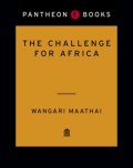 The Challenge for Africa