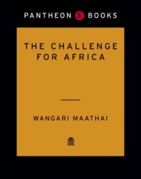 The Challenge for Africa