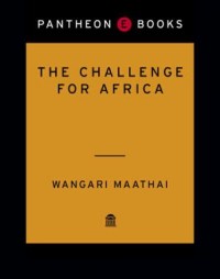 The Challenge for Africa