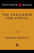 The Challenge for Africa