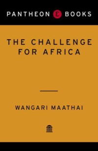 The Challenge for Africa